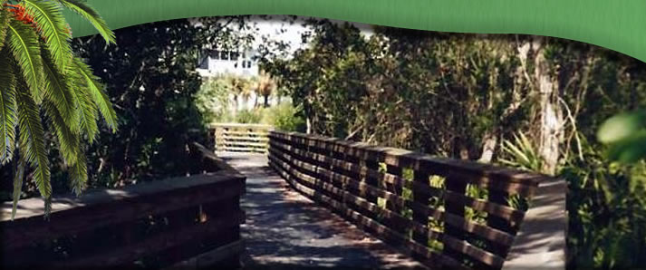 boardwalk leading to green gardens